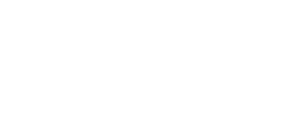 Logo overlay